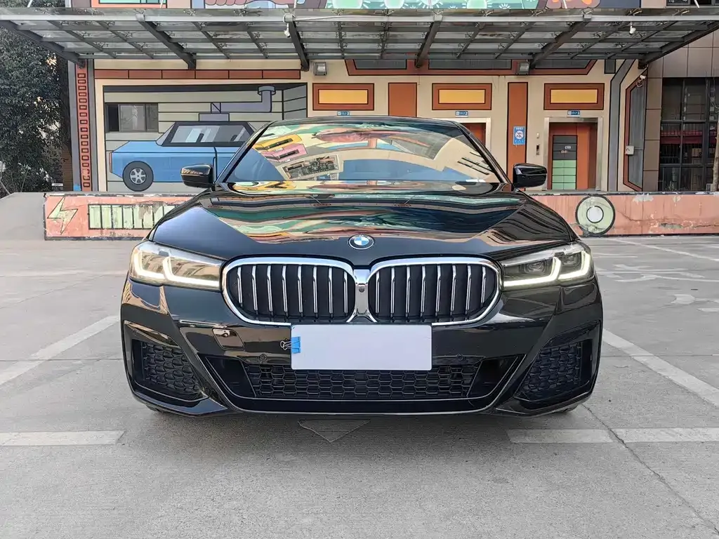 BMW 5 Series 2021 из CN, фото 7