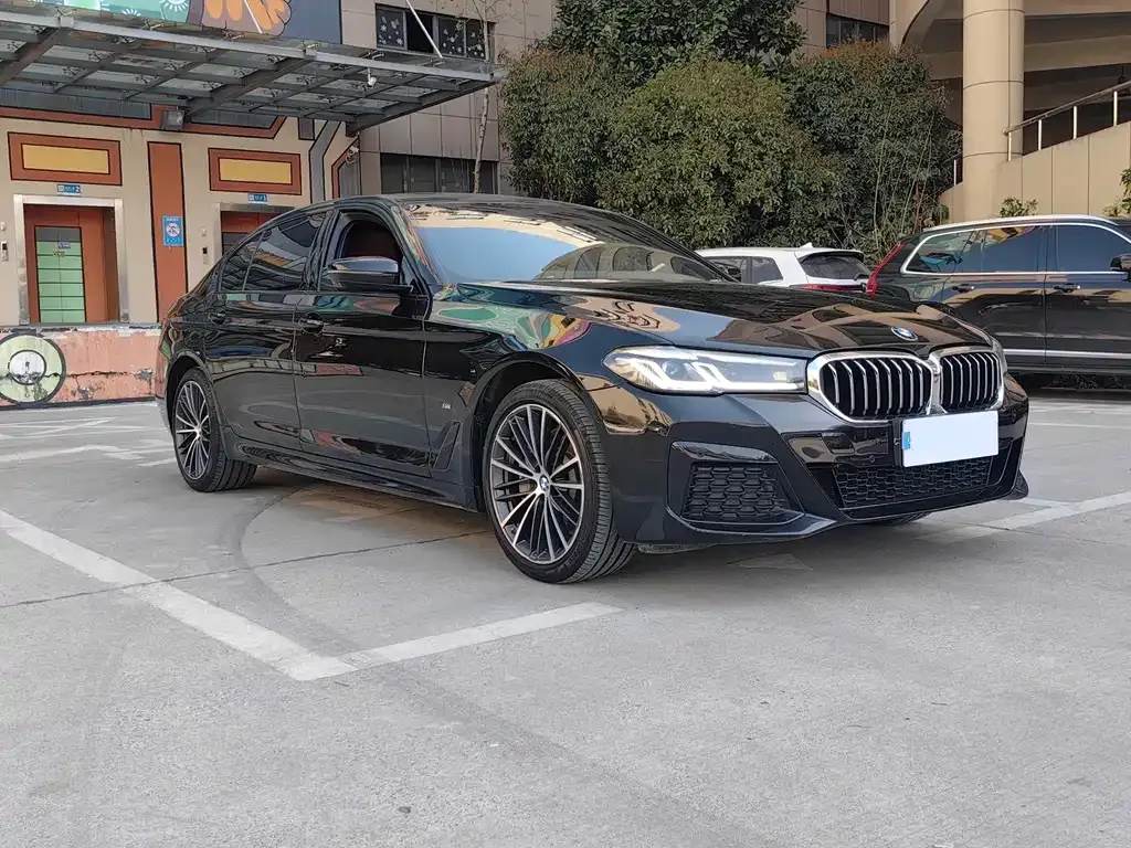 BMW 5 Series 2021 из CN, фото 8