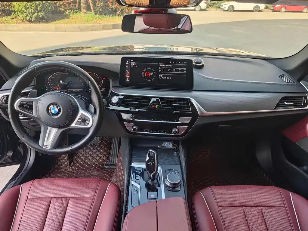 BMW 5 Series 2021 из CN, фото 9