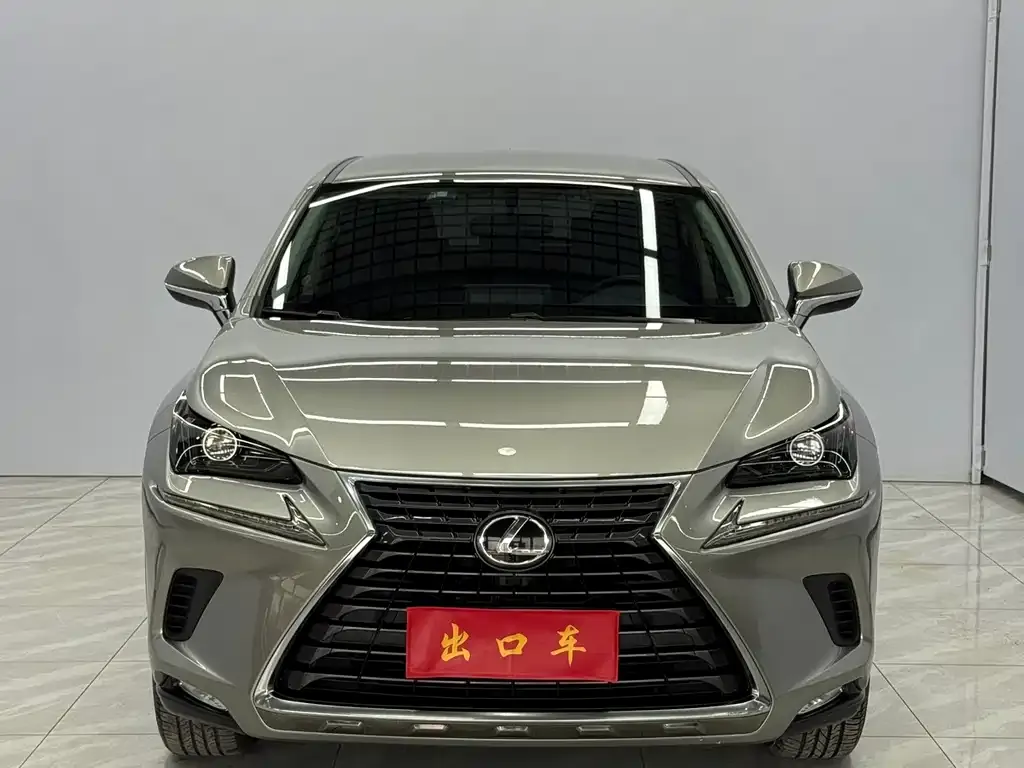 Lexus NX 2021 из CN, фото 9