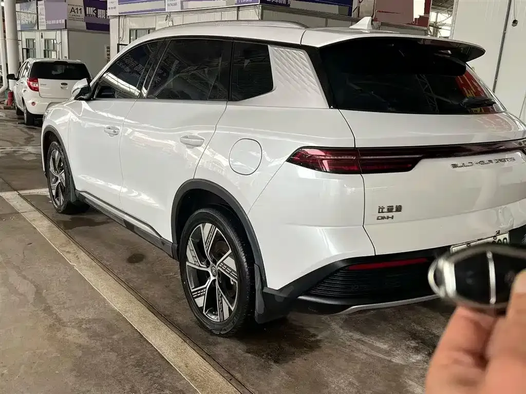 BYD Pro New Energy — фото 6