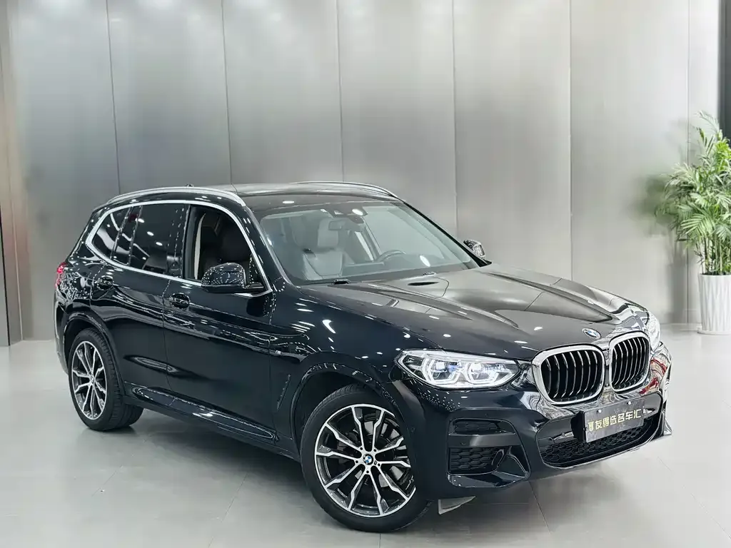 BMW X3 2021 из CN, фото 5