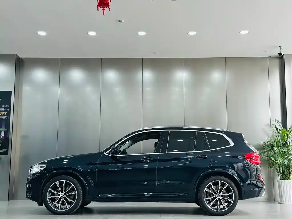 BMW X3 2021 из CN, фото 6