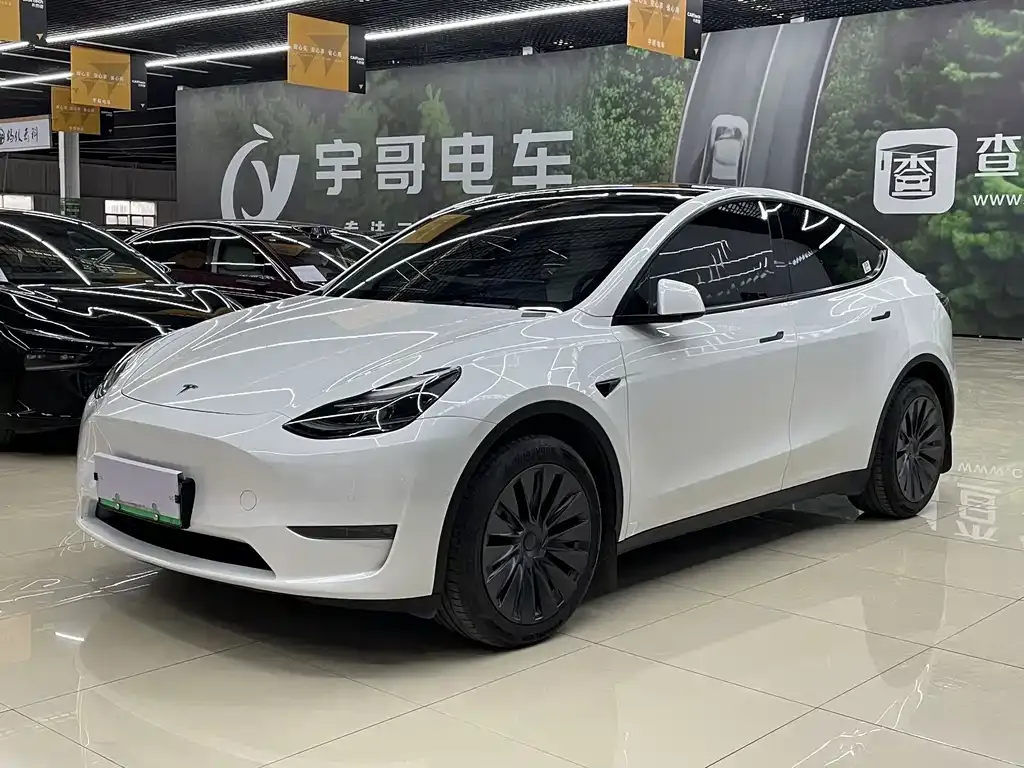 Tesla Model Y — фото 1