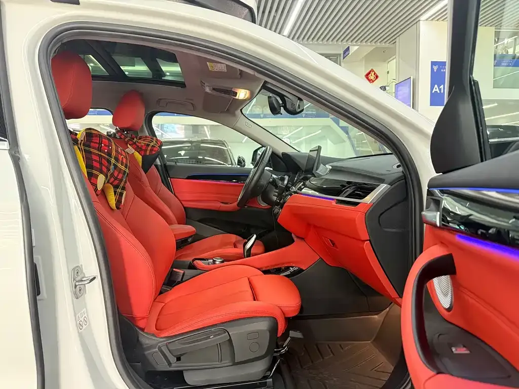 BMW X2 2022 из CN, фото 6