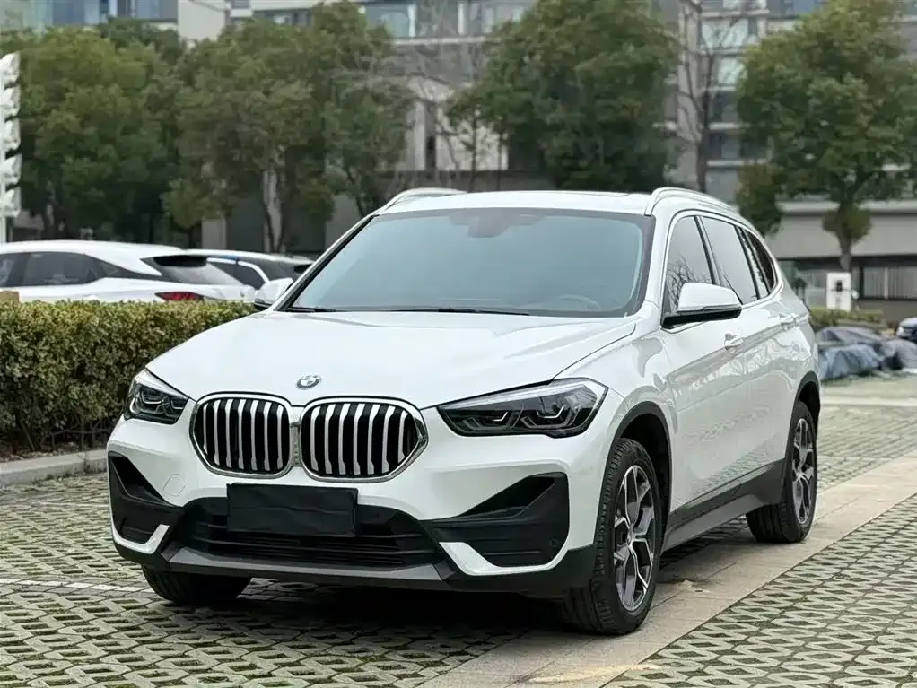 BMW X1 — фото 1