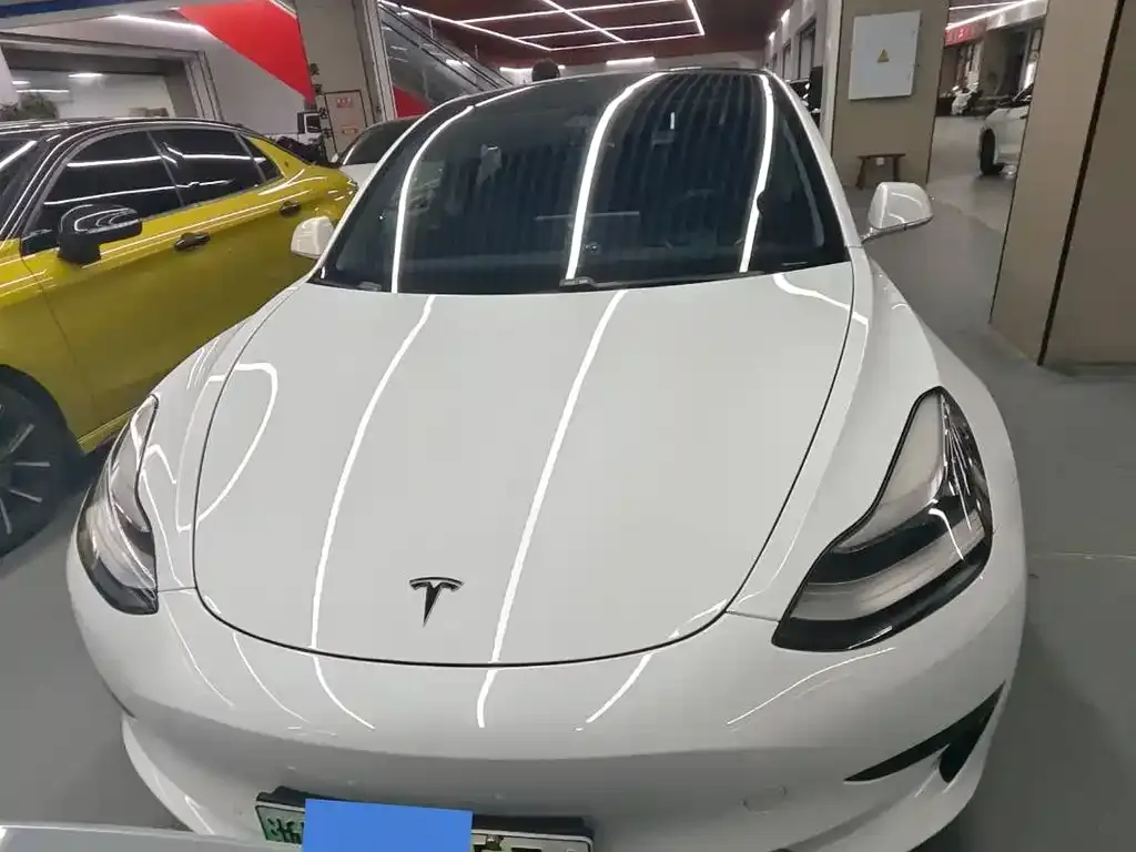 Tesla Model 3 2021 из CN, фото 5
