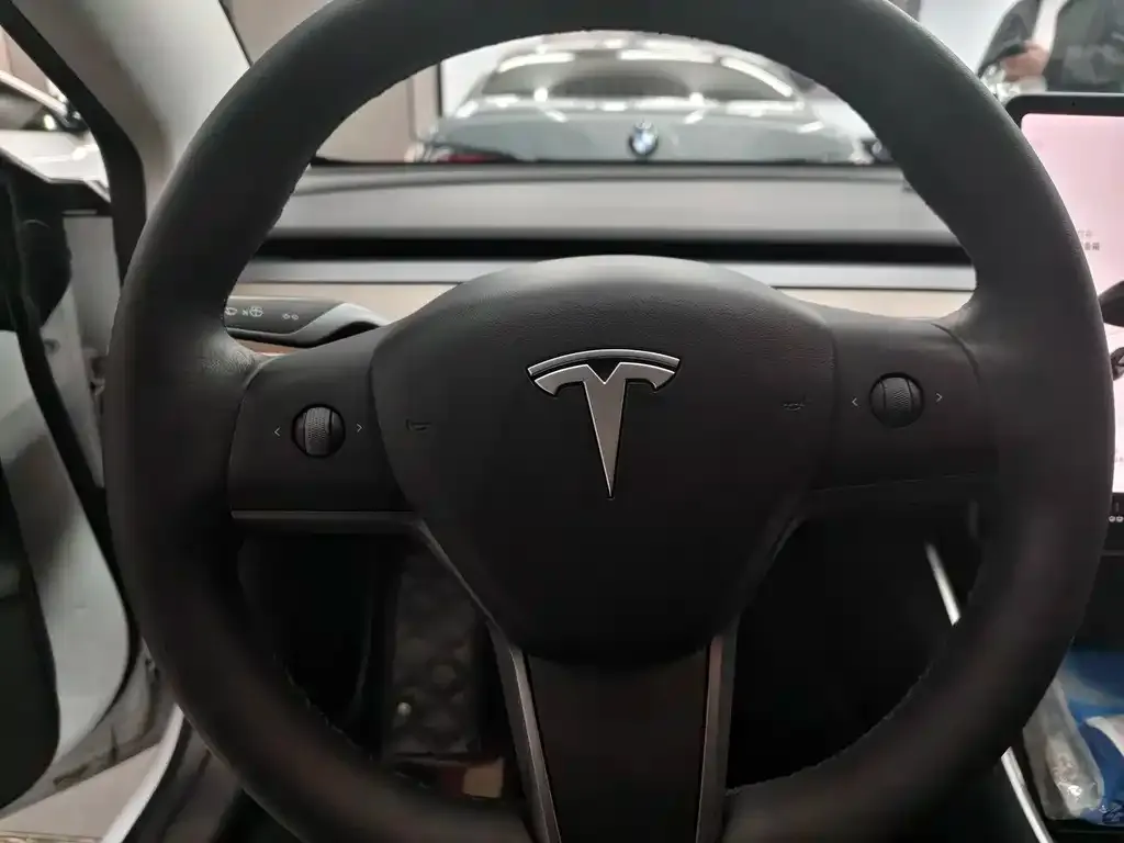 Tesla Model 3 2021 из CN, фото 6