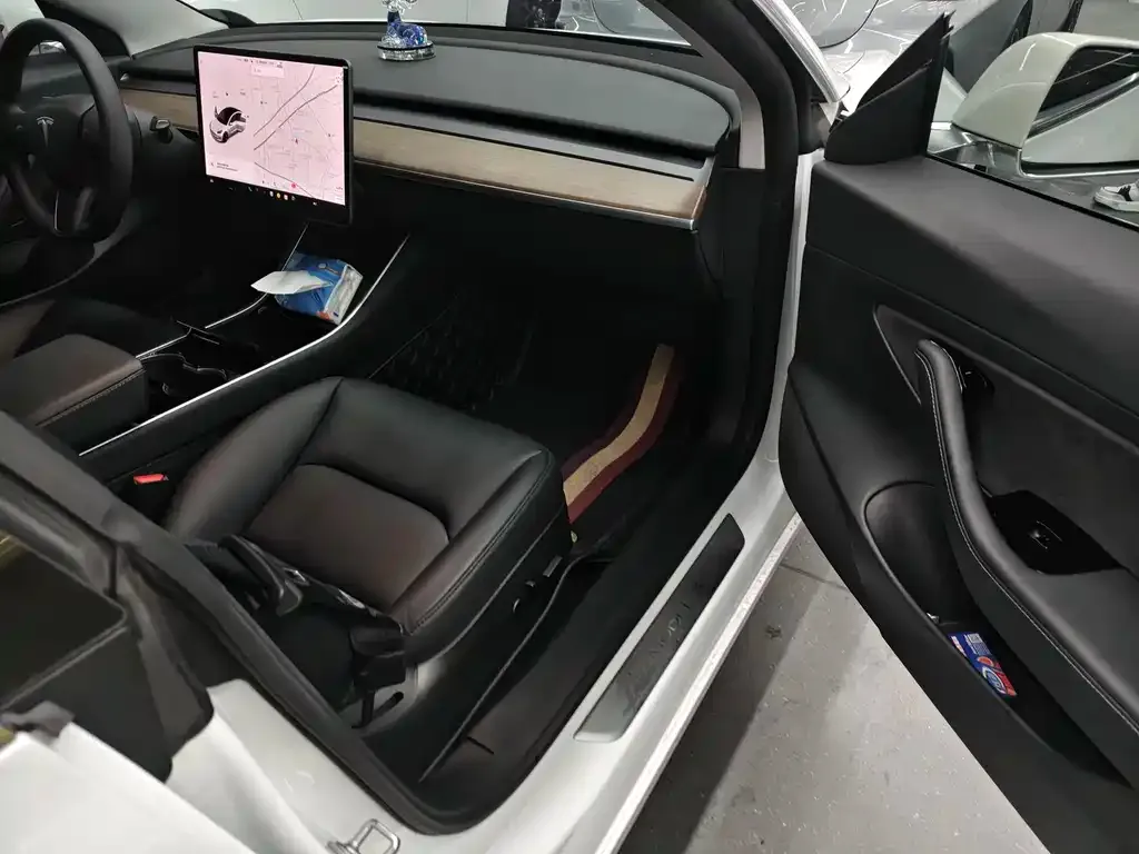 Tesla Model 3 2021 из CN, фото 9