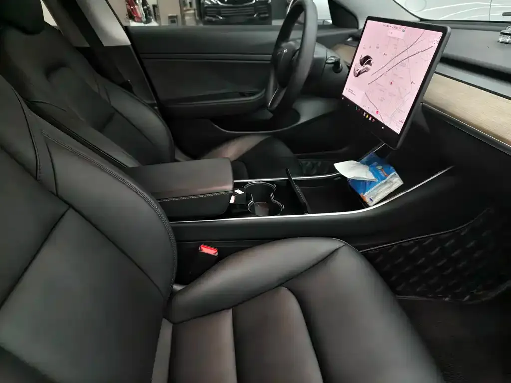 Tesla Model 3 2021 из CN, фото 3