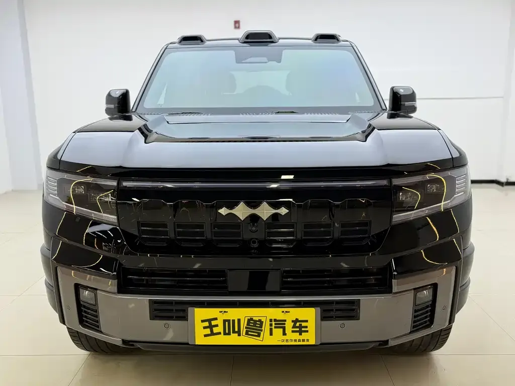 Fang Cheng Bao Leopard 8 2025 из CN, фото 4