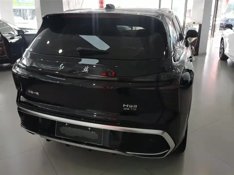 Hongqi HS3 2024 из CN, фото 4