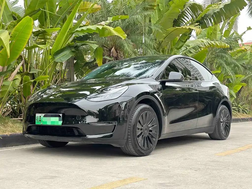 Tesla Model Y — фото 1
