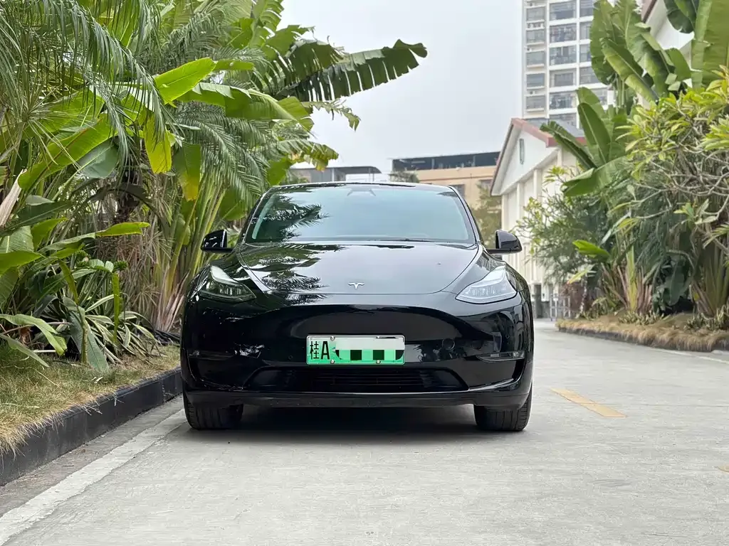 Tesla Model Y — фото 2