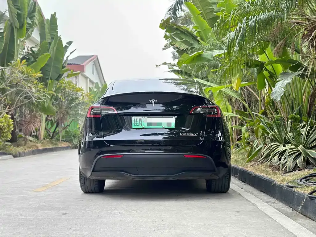 Tesla Model Y — фото 5