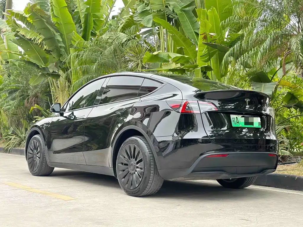 Tesla Model Y — фото 3