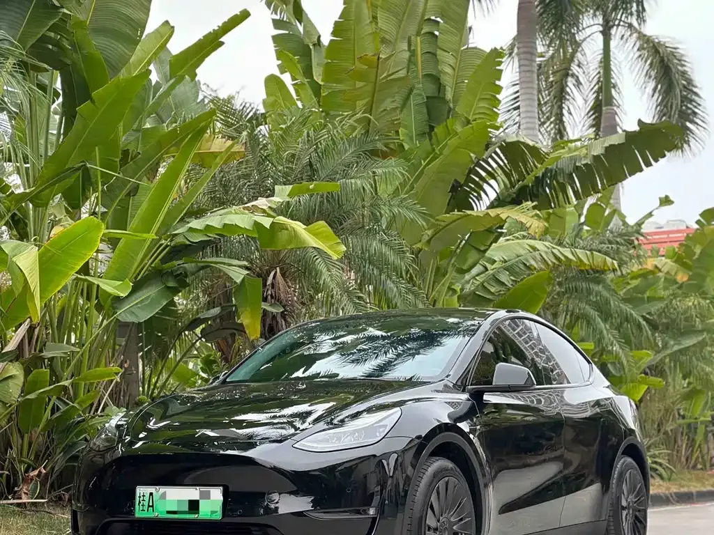 Tesla Model Y — фото 6