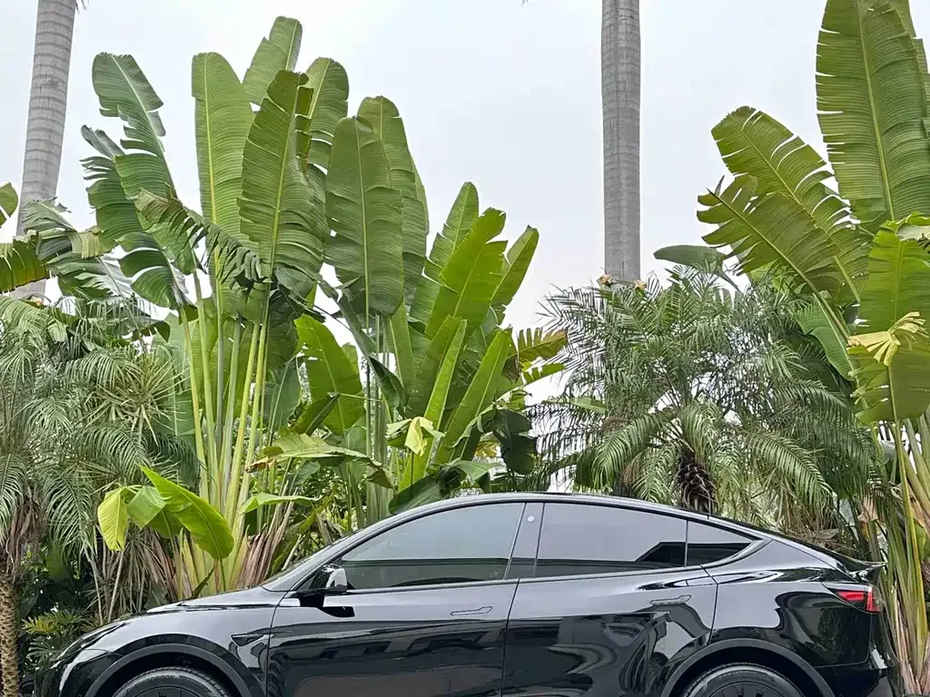 Tesla Model Y — фото 7