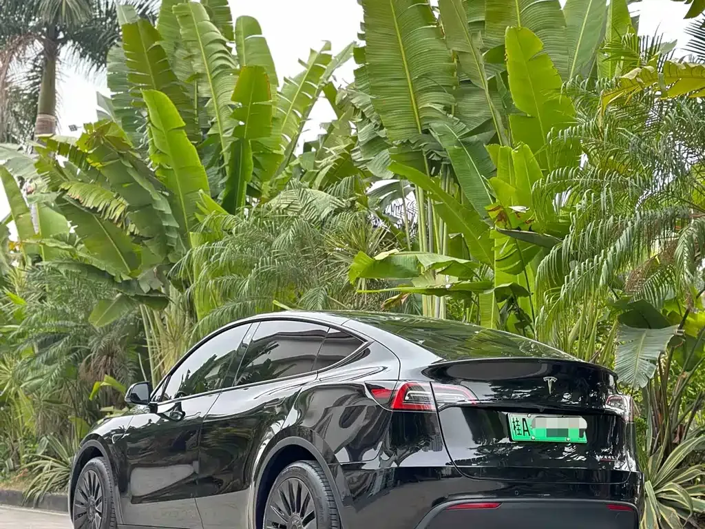 Tesla Model Y — фото 10