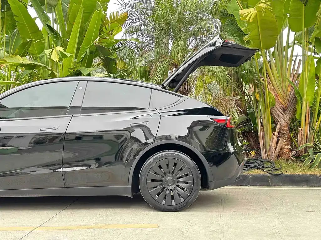 Tesla Model Y — фото 8