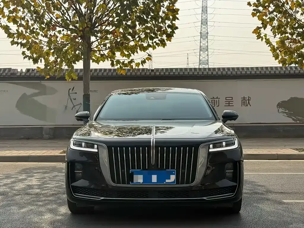 Hongqi H9 — фото 4