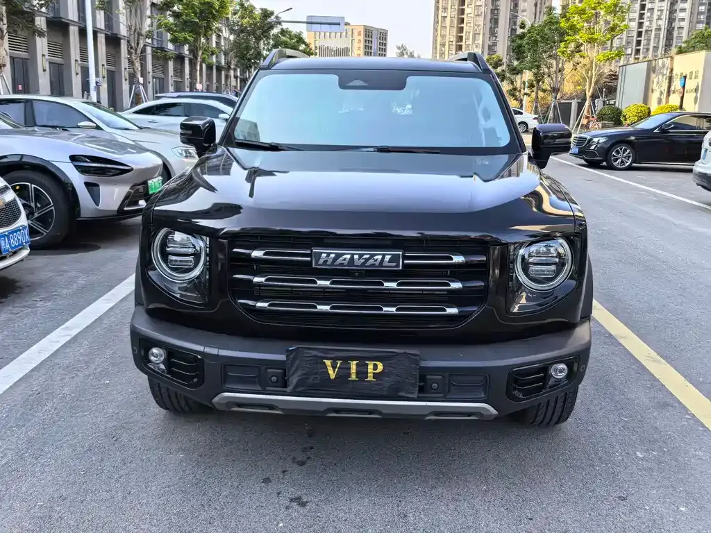 Haval Big Dog 2021 из CN, фото 7