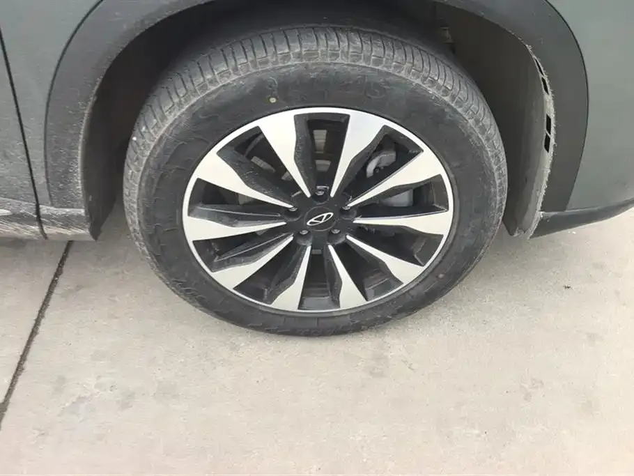 Chery Tiggo 8 PLUS 2025 из CN, фото 4