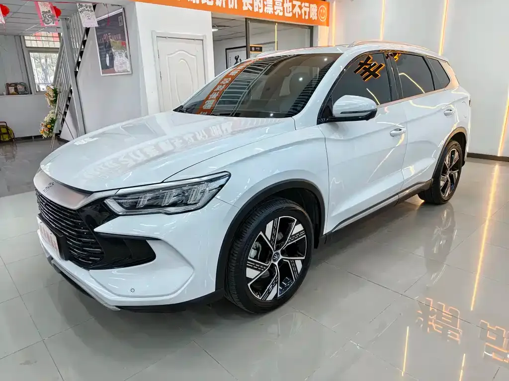 BYD Pro New Energy 2024 из CN, фото 1