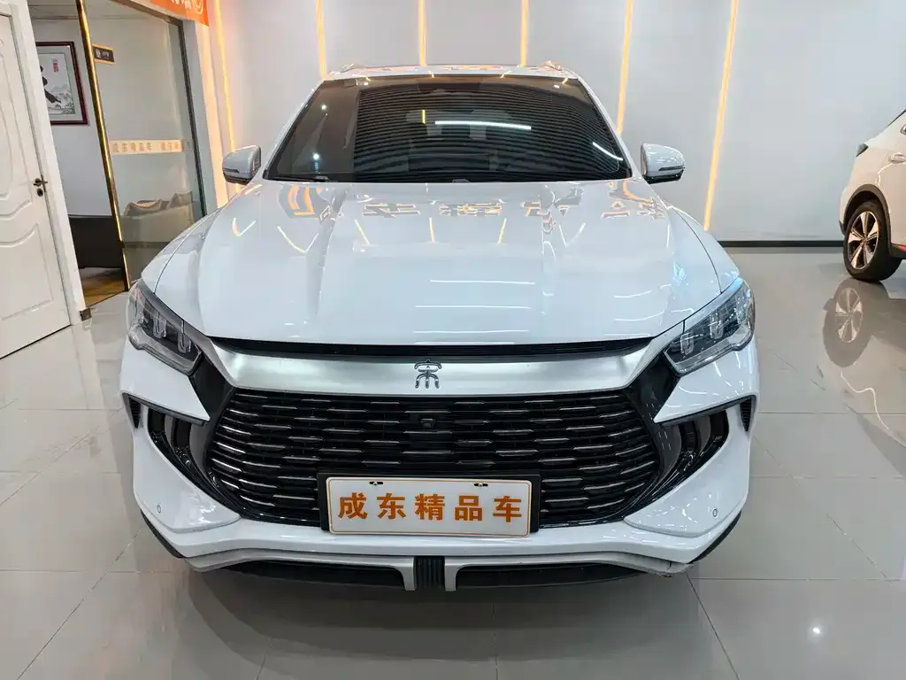 BYD Pro New Energy 2024 из CN, фото 8