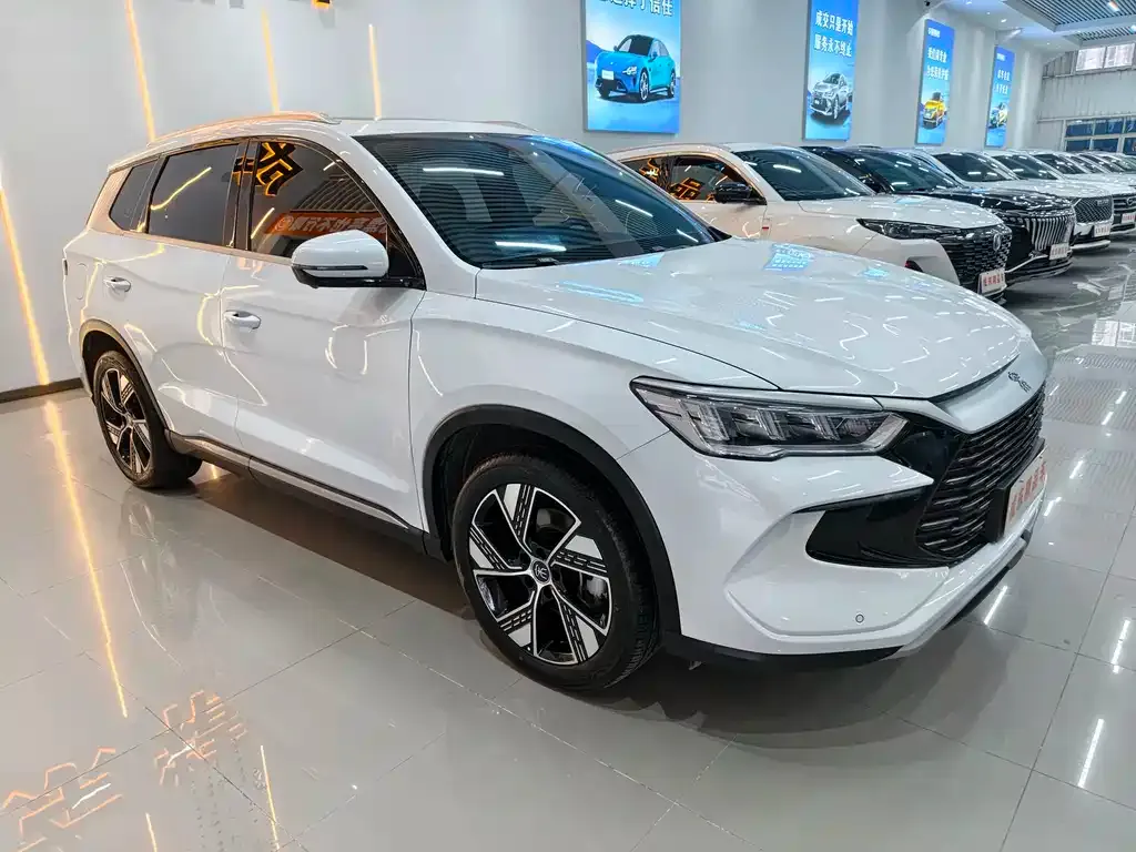 BYD Pro New Energy 2024 из CN, фото 3