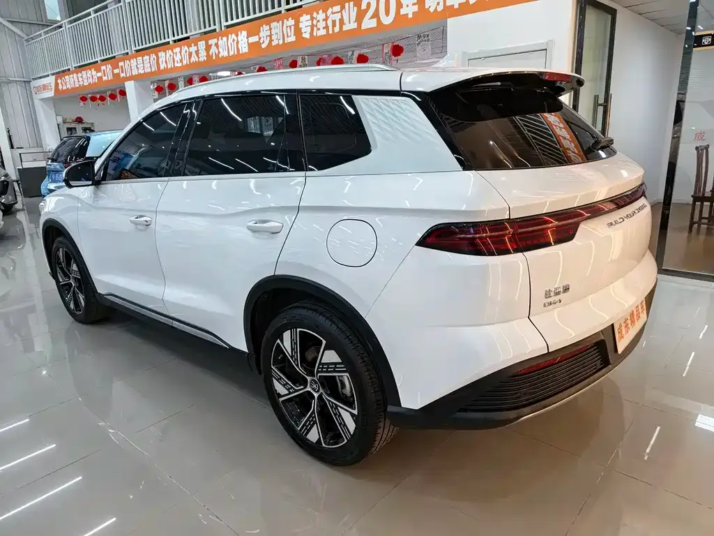 BYD Pro New Energy 2024 из CN, фото 2