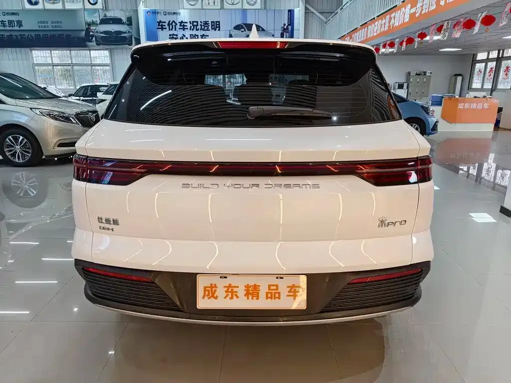 BYD Pro New Energy 2024 из CN, фото 6