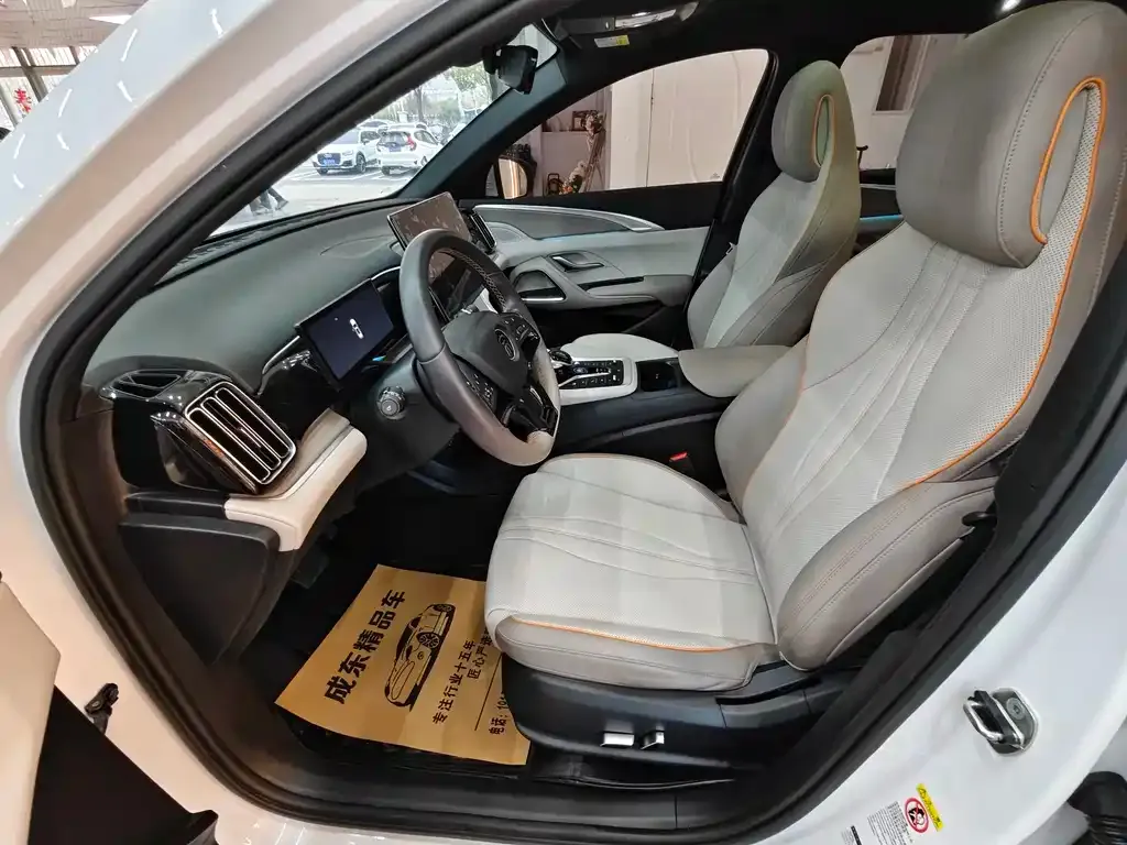 BYD Pro New Energy 2024 из CN, фото 7