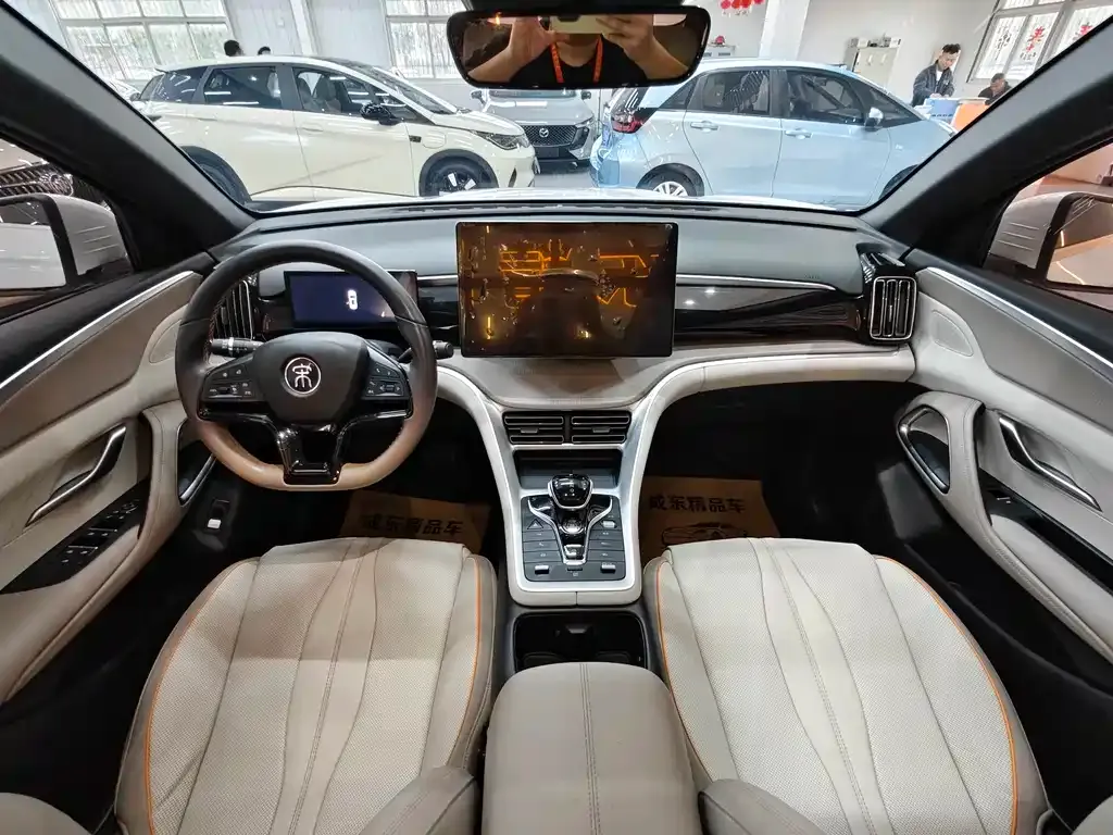 BYD Pro New Energy 2024 из CN, фото 9