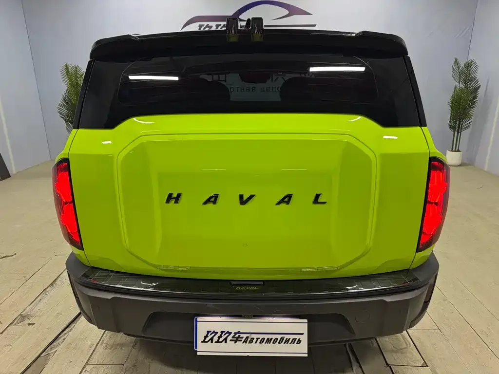 Haval Cool Dog 2022 из CN, фото 8