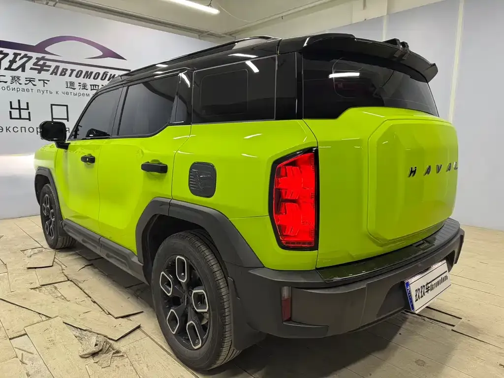 Haval Cool Dog 2022 из CN, фото 3
