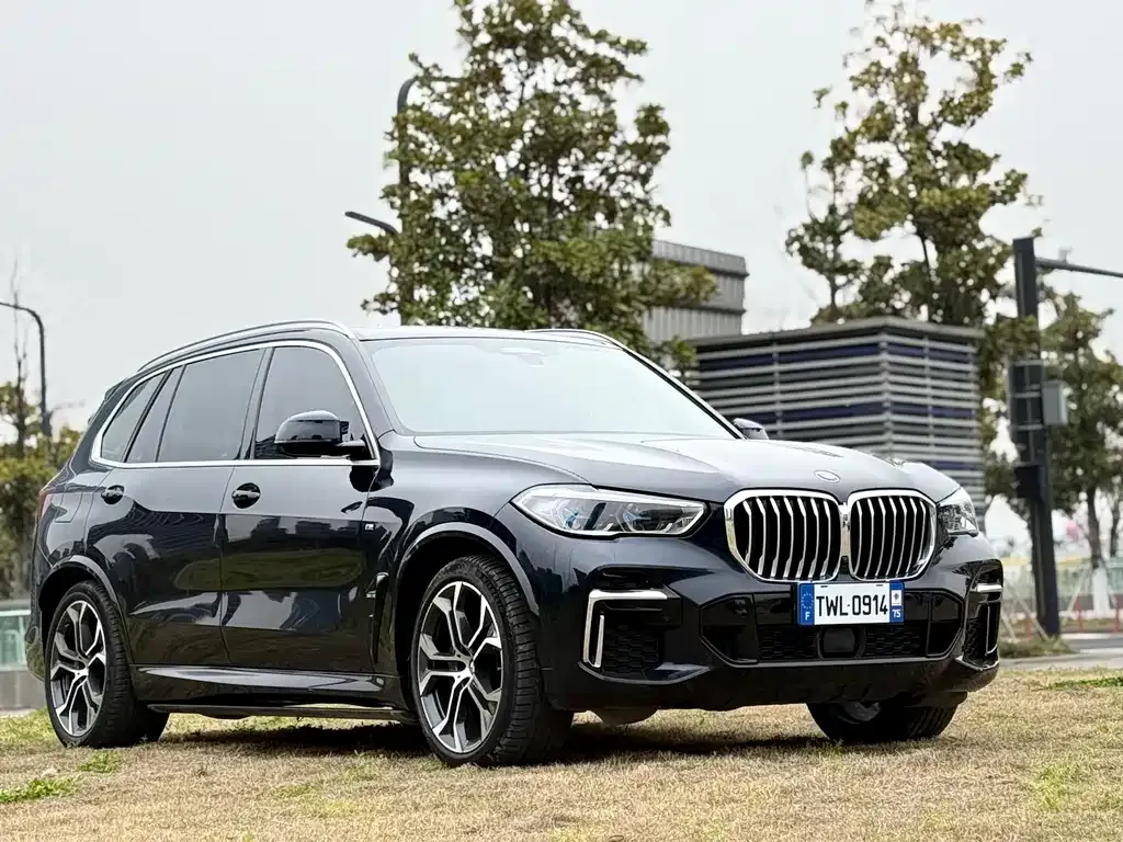 BMW X5 — фото 10