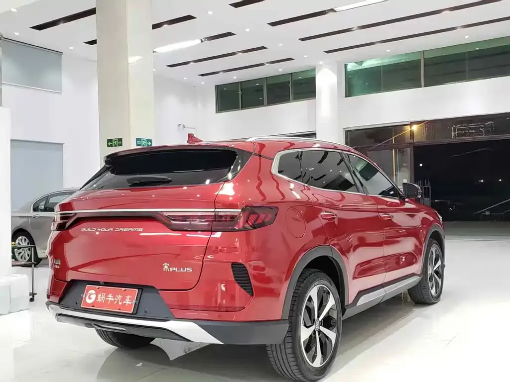 BYD PLUS New Energy 2022 из CN, фото 6