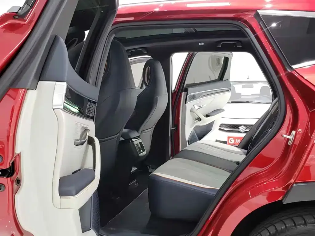 BYD PLUS New Energy 2022 из CN, фото 4