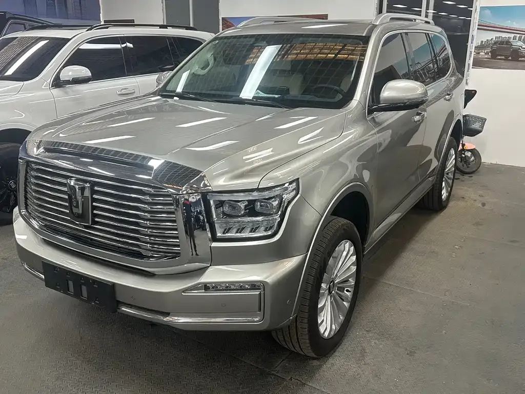 Tank 500 New Energy 2023 из CN, фото 1