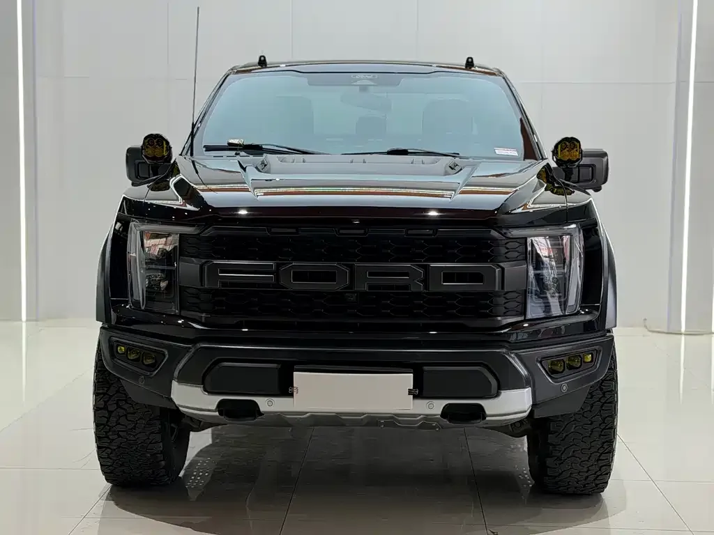 Ford F-150 Raptor — фото 1