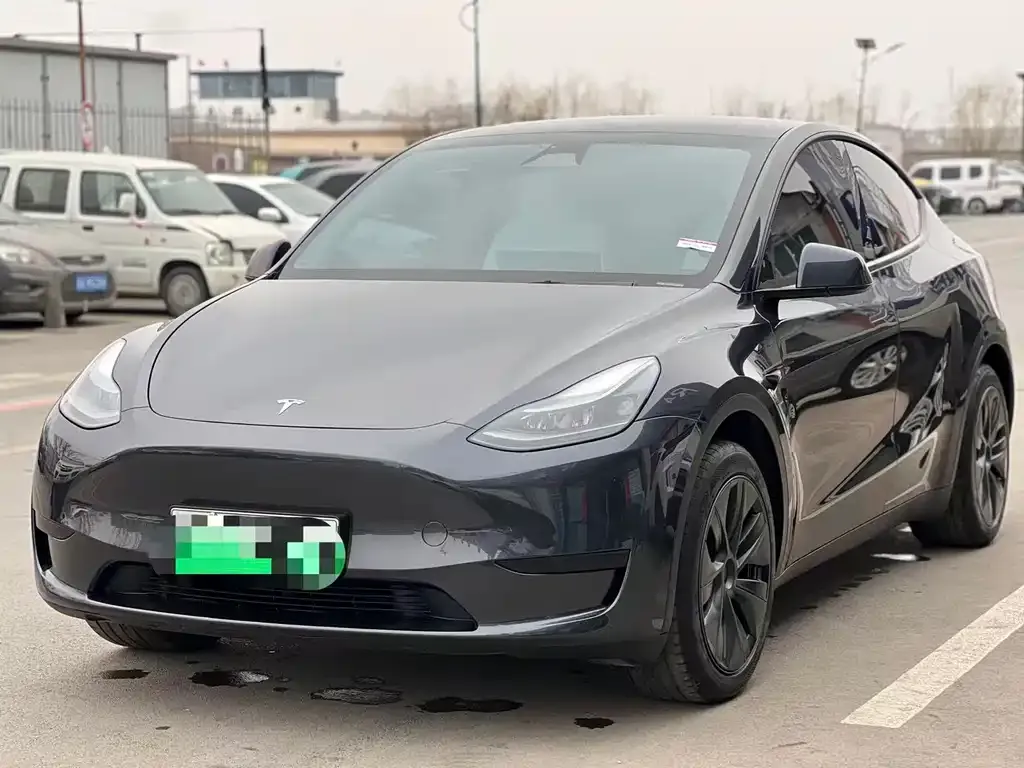 Tesla Model Y — фото 1