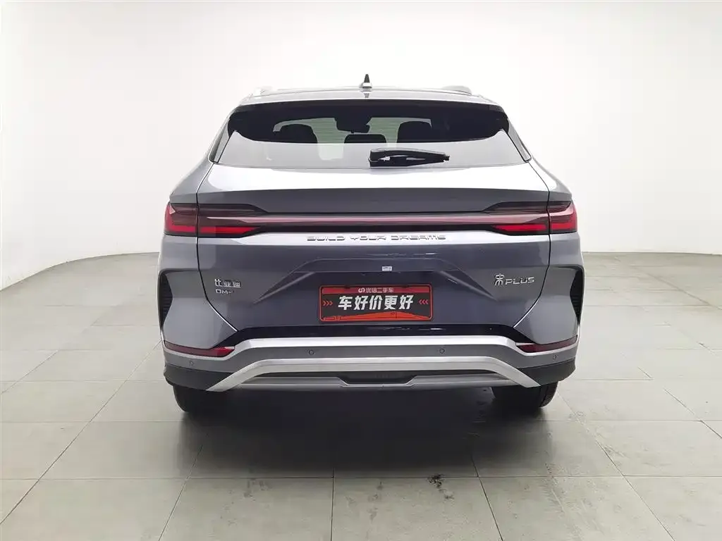 BYD PLUS New Energy 2024 из CN, фото 5