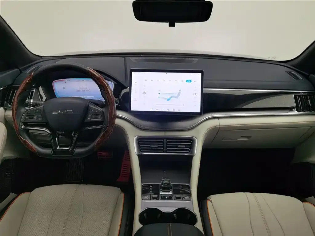 BYD PLUS New Energy 2024 из CN, фото 8