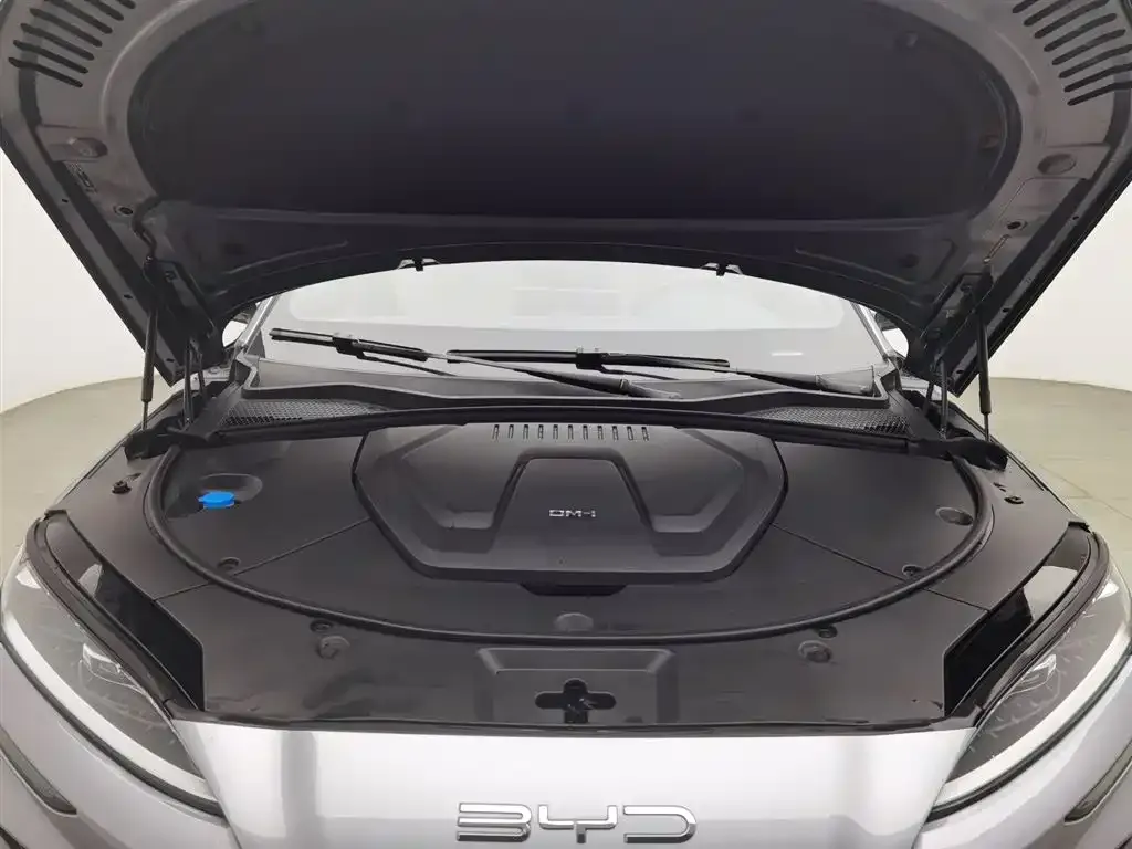 BYD PLUS New Energy 2024 из CN, фото 6