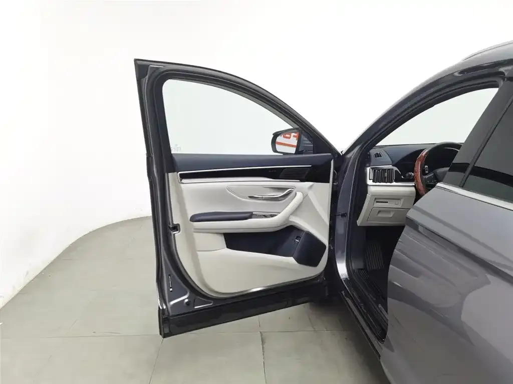 BYD PLUS New Energy 2024 из CN, фото 4