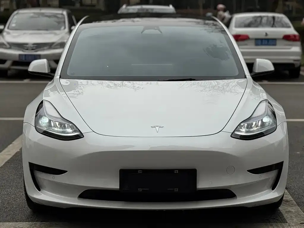 Tesla Model 3 2022 из CN, фото 4