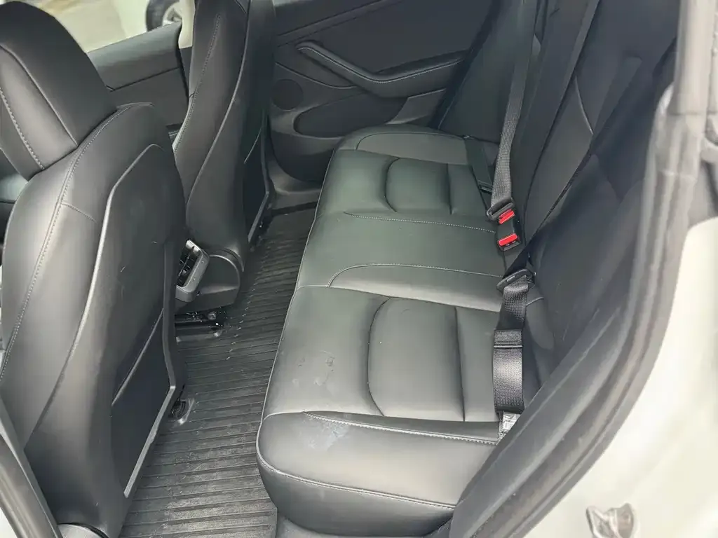 Tesla Model 3 2022 из CN, фото 3