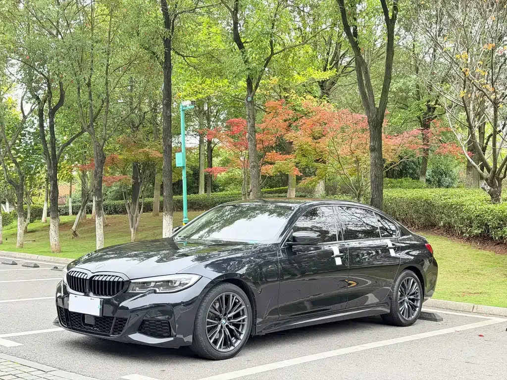 BMW 3 Series 2021 из CN, фото 1