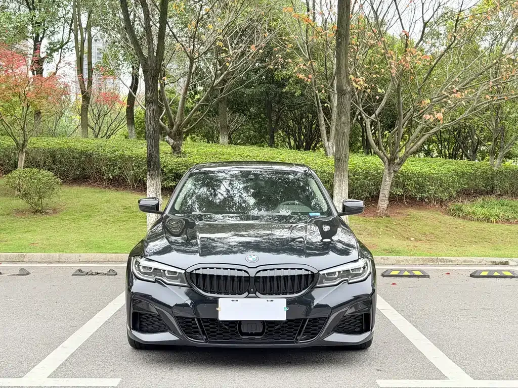 BMW 3 Series 2021 из CN, фото 9